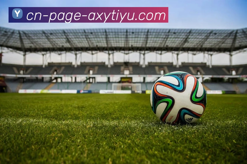 爱游戏发展历程